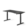 Elevate Ergonomics Battlestation Black Ergo Curve Standing
