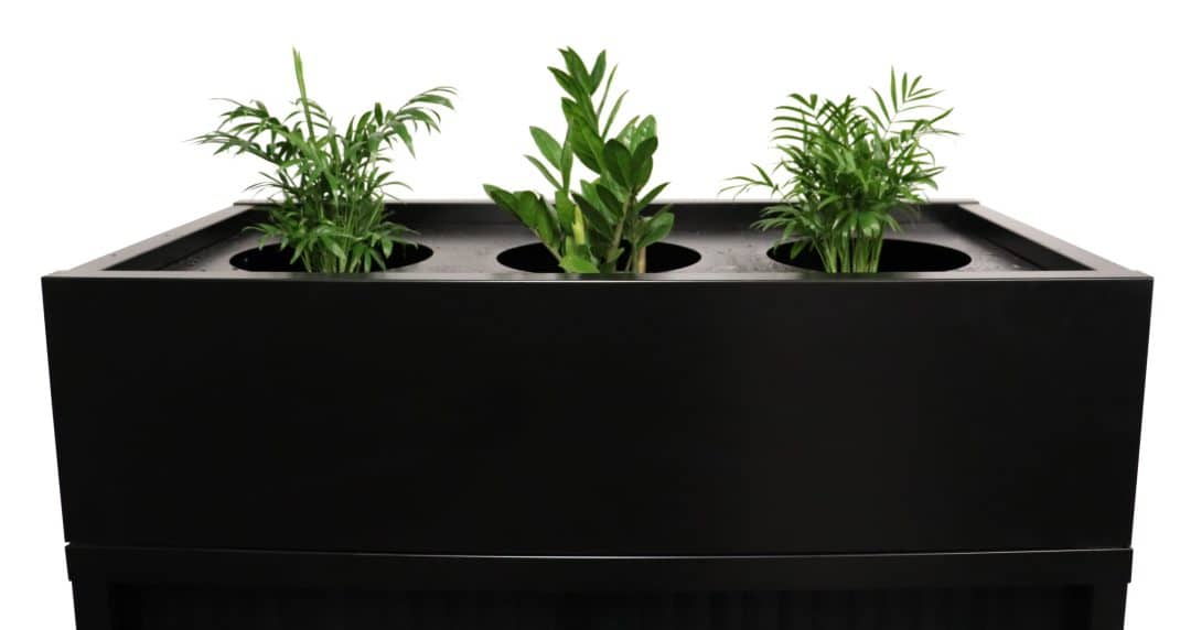 planter box black elevate ergonomics